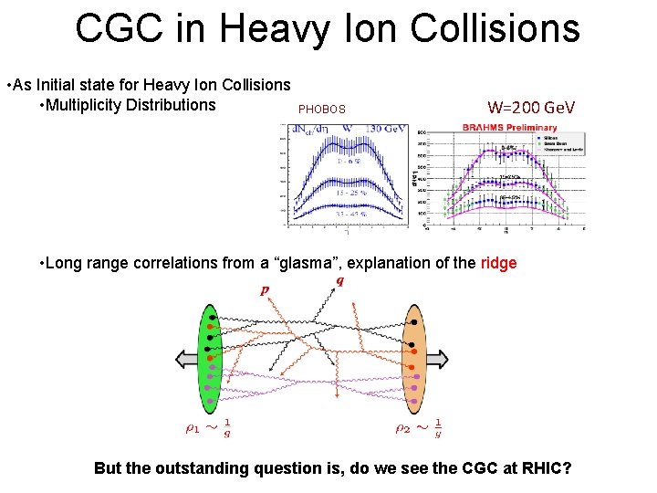 CGC in Heavy Ion Collisions • As Initial state for Heavy Ion Collisions •