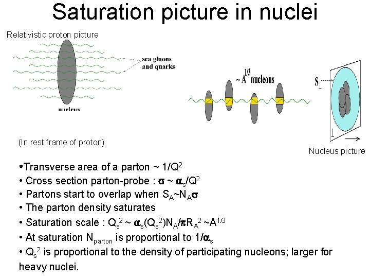 Saturation picture in nuclei Relativistic proton picture (In rest frame of proton) Nucleus picture