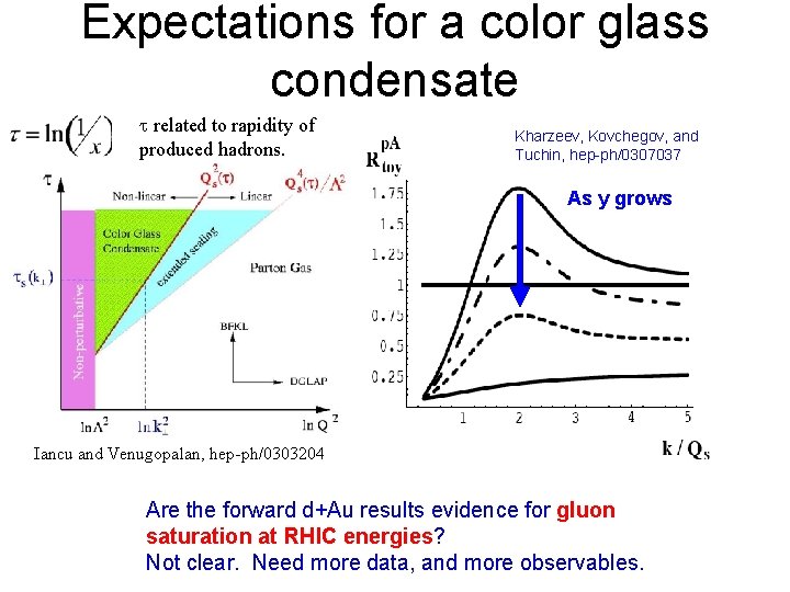Expectations for a color glass condensate t related to rapidity of produced hadrons. Kharzeev,
