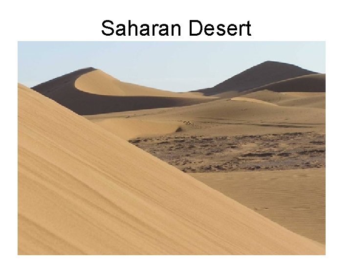 Saharan Desert 