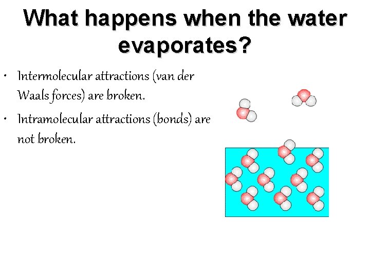 What happens when the water evaporates? • Intermolecular attractions (van der Waals forces) are