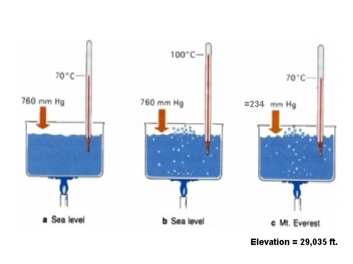 ≈234 Elevation = 29, 035 ft. ≈234 Elevation = 29, 035 ft.
