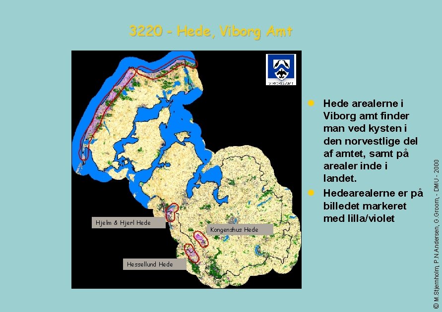 Hjelm & Hjerl Hede Hessellund Hede l Hede arealerne i Viborg amt finder man