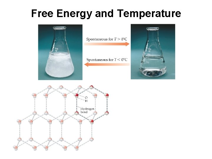Free Energy and Temperature 