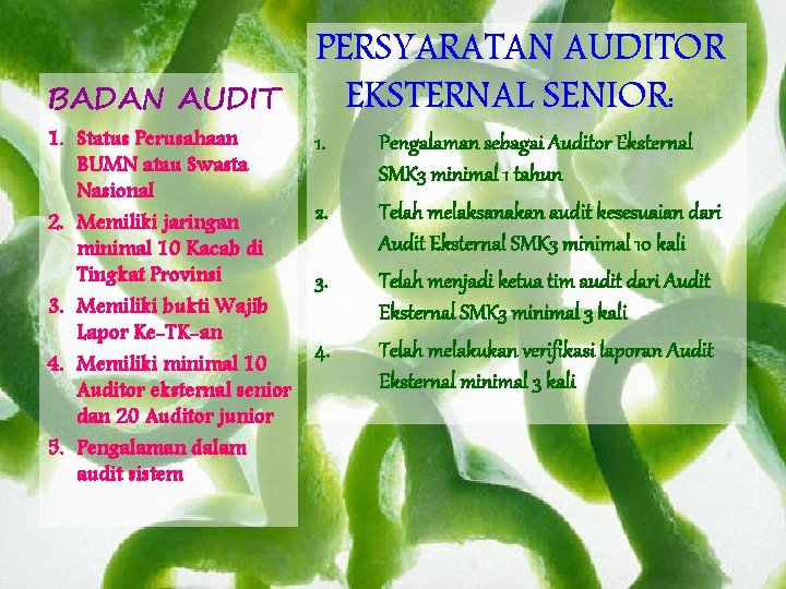 BADAN AUDIT 1. Status Perusahaan BUMN atau Swasta Nasional 2. Memiliki jaringan minimal 10