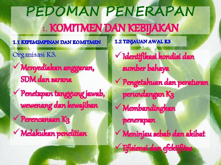 PEDOMAN PENERAPAN 1. KOMITMEN DAN KEBIJAKAN 1. 1 KEPEMIMPINAN DAN KOMITMEN Organisasi K 3: