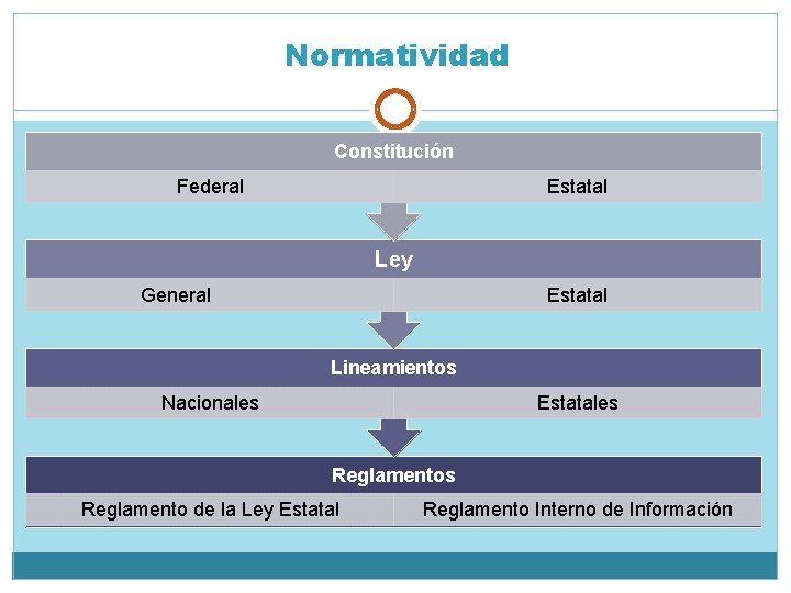 Normatividad Constitución Federal Estatal Ley General Estatal Lineamientos Nacionales Estatales Reglamento de la Ley