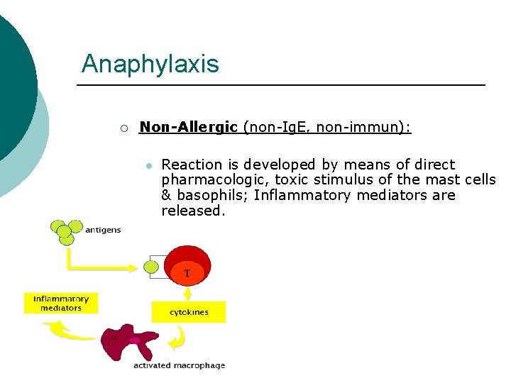 Anaphylaxis ¡ Non-Allergic (non-Ig. E, non-immun): l Reaction is developed by means of direct