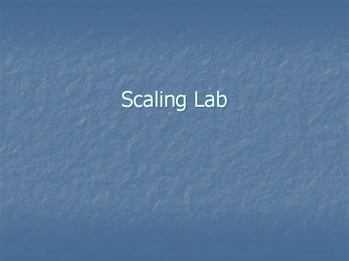 Scaling Lab 