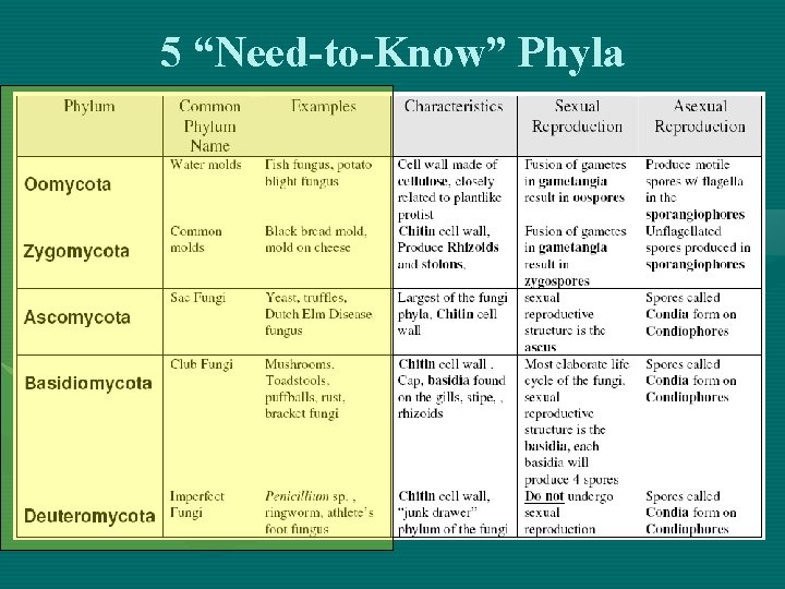 5 “Need-to-Know” Phyla 
