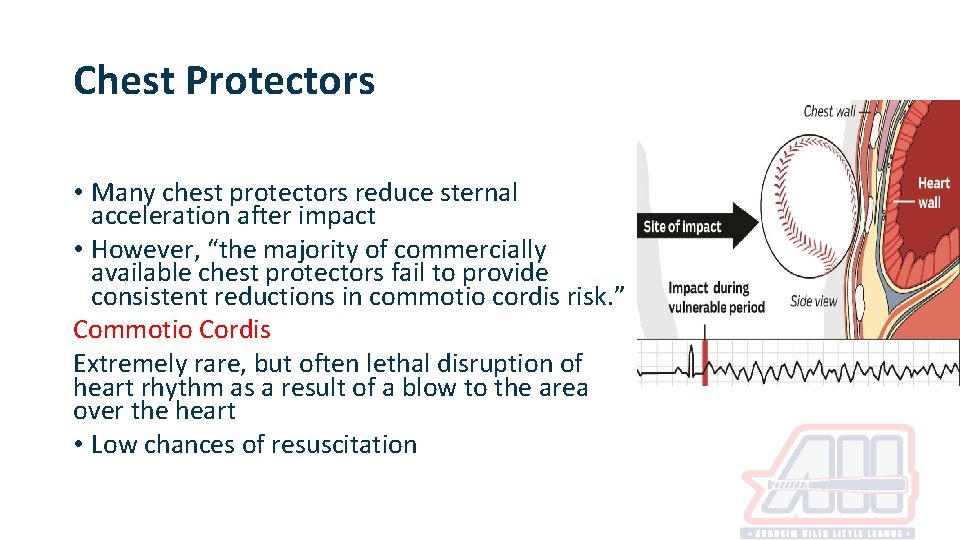 Chest Protectors • Many chest protectors reduce sternal acceleration after impact • However, “the Chest Protectors • Many chest protectors reduce sternal acceleration after impact • However, “the