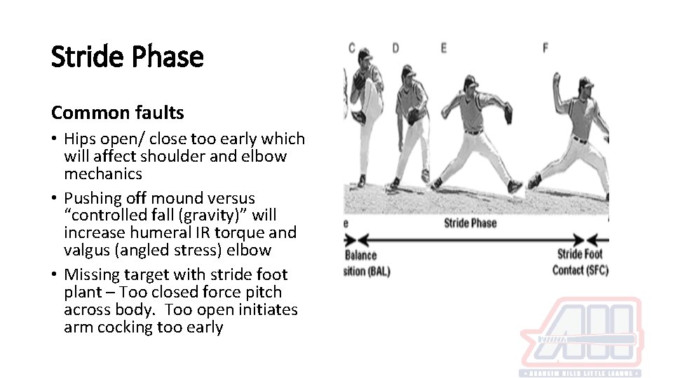 Stride Phase Common faults • Hips open/ close too early which will affect shoulder