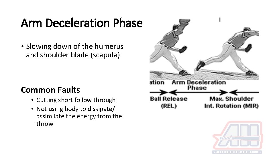 Arm Deceleration Phase • Slowing down of the humerus and shoulder blade (scapula) Common Arm Deceleration Phase • Slowing down of the humerus and shoulder blade (scapula) Common