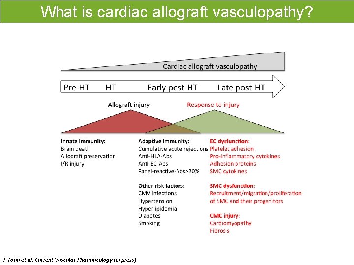 What is cardiac allograft vasculopathy? F Tona et al. Current Vascular Pharmacology (in press)