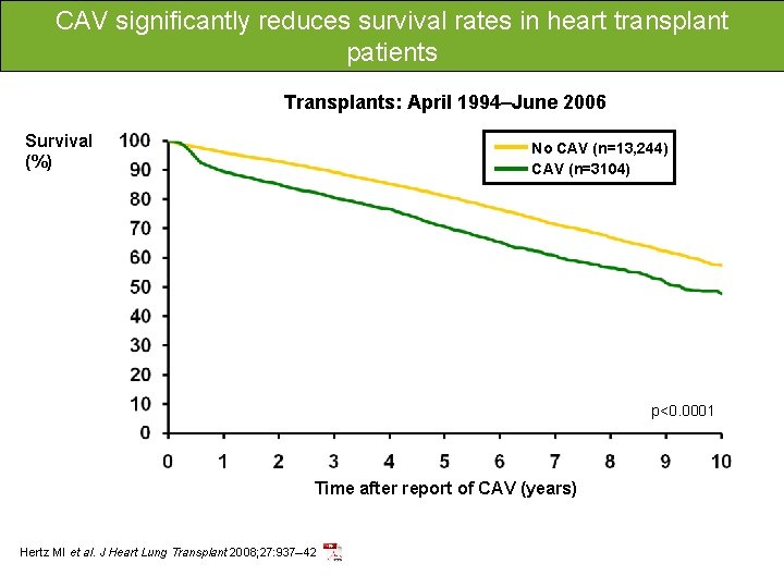 CAV significantly reduces survival rates in heart transplant patients Transplants: April 1994–June 2006 Survival