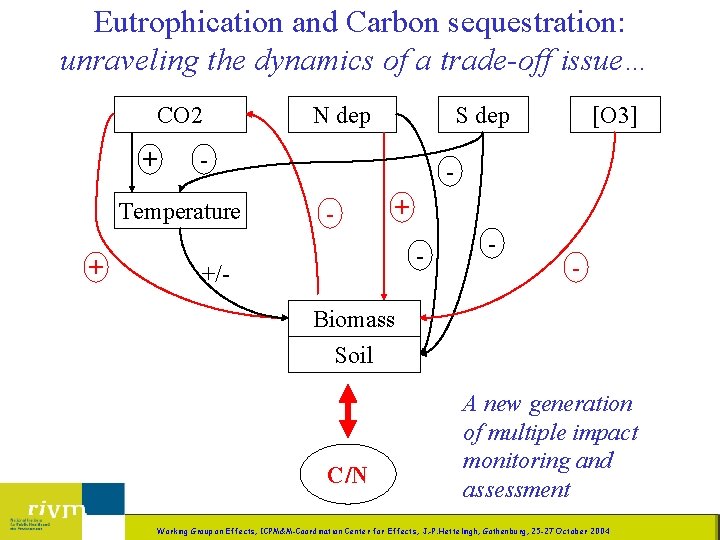 Eutrophication and Carbon sequestration: unraveling the dynamics of a trade-off issue… CO 2 +