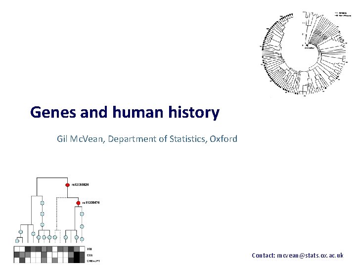 Genes and human history Gil Mc. Vean, Department of Statistics, Oxford Contact: mcvean@stats. ox.