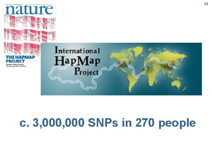 11 c. 3, 000 SNPs in 270 people 