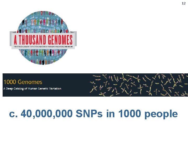 12 c. 40, 000 SNPs in 1000 people 