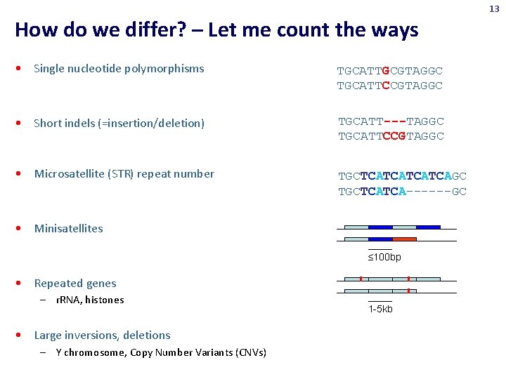 13 How do we differ? – Let me count the ways • Single nucleotide