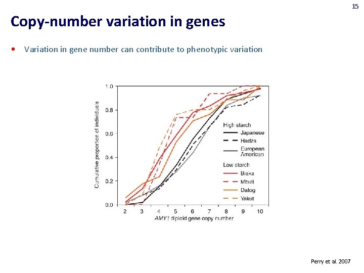 15 Copy-number variation in genes • Variation in gene number can contribute to phenotypic