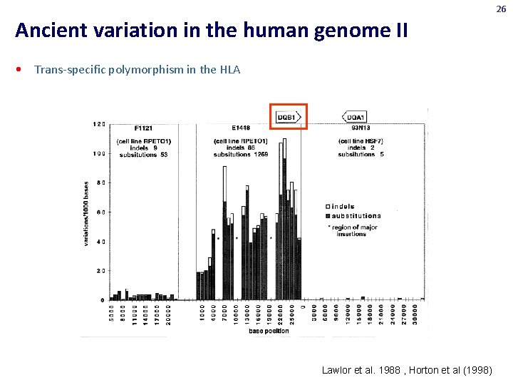 26 Ancient variation in the human genome II • Trans-specific polymorphism in the HLA