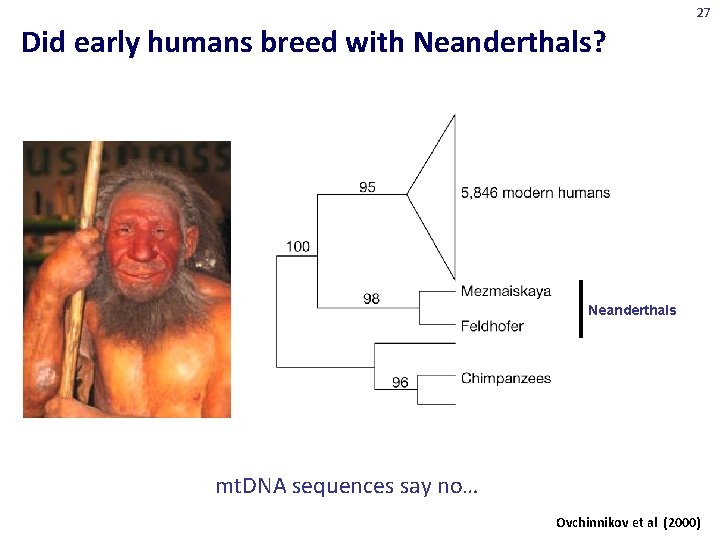 27 Did early humans breed with Neanderthals? Neanderthals mt. DNA sequences say no… Ovchinnikov