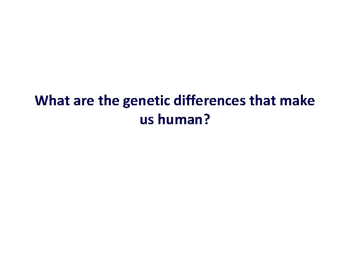 What are the genetic differences that make us human? 