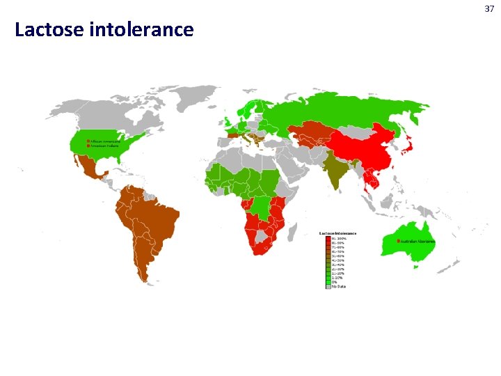 37 Lactose intolerance 