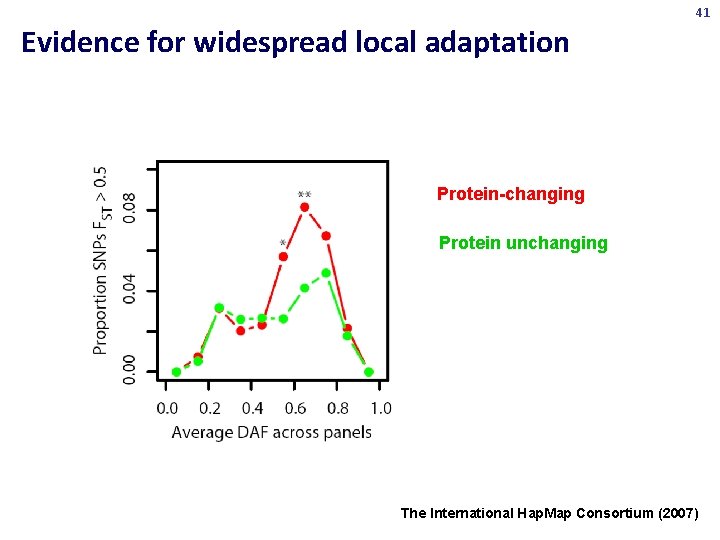 41 Evidence for widespread local adaptation Protein-changing Protein unchanging The International Hap. Map Consortium