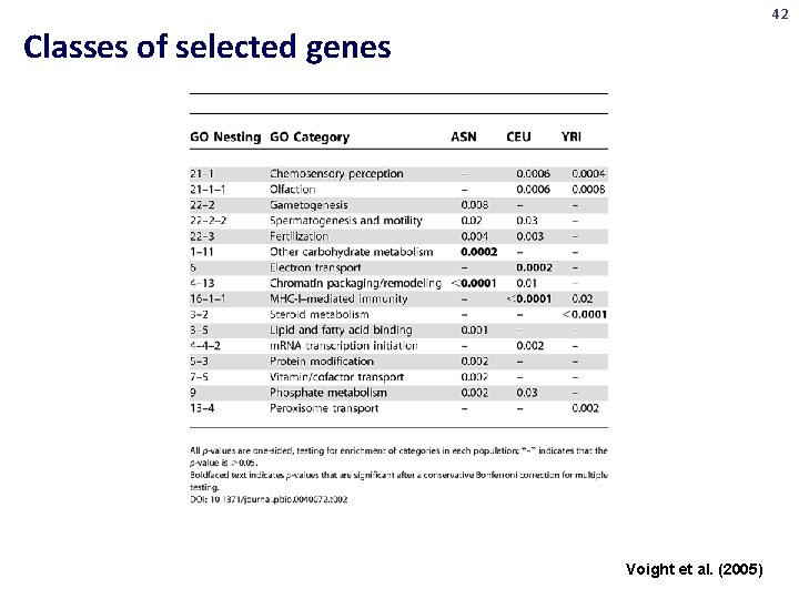 42 Classes of selected genes Voight et al. (2005) 