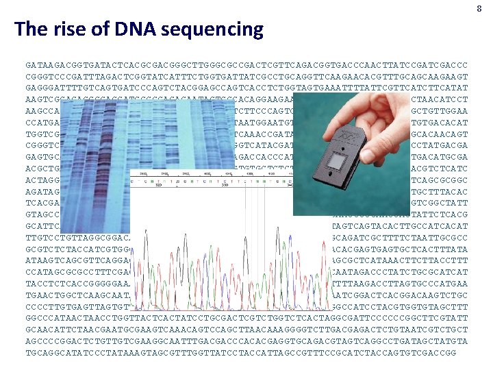 8 The rise of DNA sequencing GATAAGACGGTGATACTCACGCGACGGGCTTGGGCGCCGACTCGTTCAGACGGTGACCCAACTTATCCGATCGACCC CGGGTCCCGATTTAGACTCGGTATCATTTCTGGTGATTATCGCCTGCAGGTTCAAGAACACGTTTGCAGCAAGAAGT GAGGGATTTTGTCAGTGATCCCAGTCTACGGAGCCAGTCACCTCTGGTAGTGAAATTTTATTCGTTCATCTTCATAT AAGTCGCAGACCGCACGATGGGGGACAGAATACTCGCACAGGAAGAACCGCGATGAACCGAGGTAACCTAACATCCT AAGCCATTCCAACGAGGCTTTCGTAACCAAATCAGTTCTTCCCAGTCCAGATGAGGCGAACGTAGGTGCTGTTGGAA CCATGAGTGGCCAACAGAATACTGTGGATGCTAATGGAATGTGTTAATCAGACGTTTGCTGATGTGACACAT TGGTCGCTGCTCTTTGATGCGGAAATCTATGAGCGGTCAAACCGATACAAACCCGGCTATGTCGTTCGCACAACAGT CGGGTCCCACCCCATTGTTCTTATGAAGGTATTACTGGTCATACGATGCTTTTGCGACGCATCCCTATGACGA