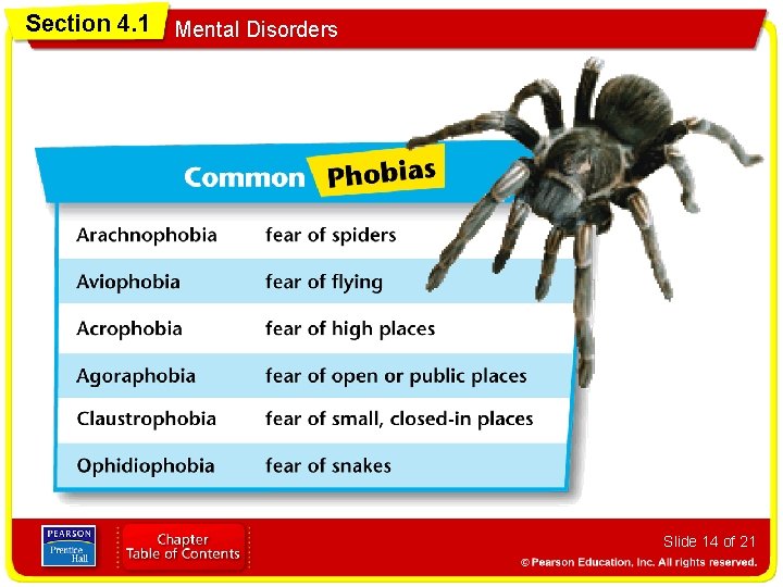 Section 4. 1 Mental Disorders Slide 14 of 21 