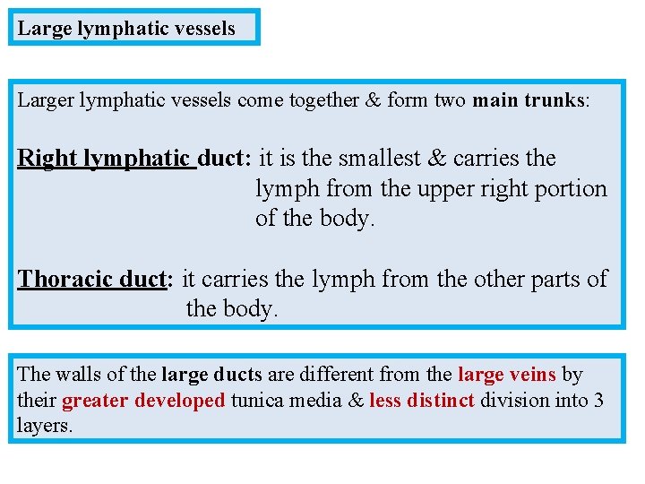 Large lymphatic vessels Larger lymphatic vessels come together & form two main trunks: Right