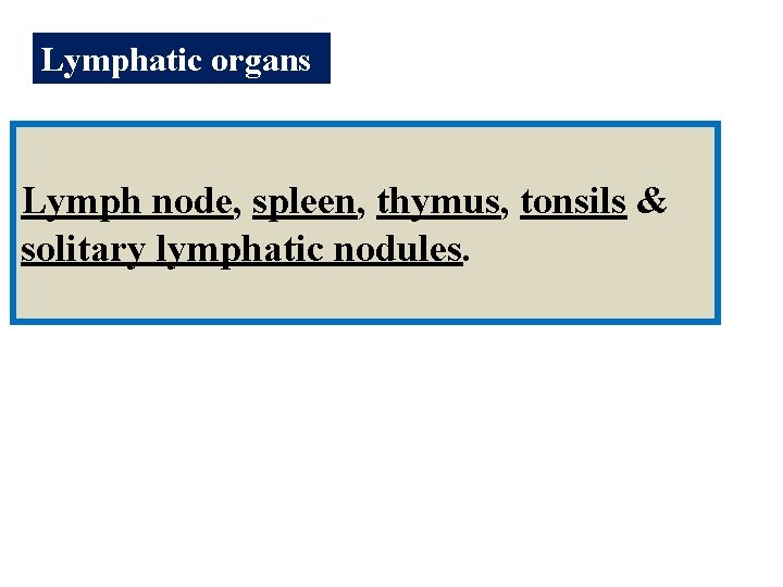 Lymphatic organs Lymph node, spleen, thymus, tonsils & solitary lymphatic nodules. 