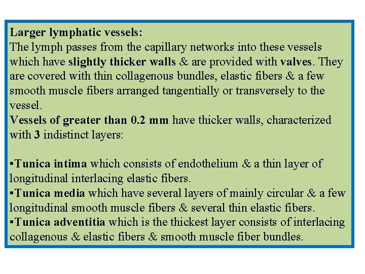 Larger lymphatic vessels: The lymph passes from the capillary networks into these vessels which