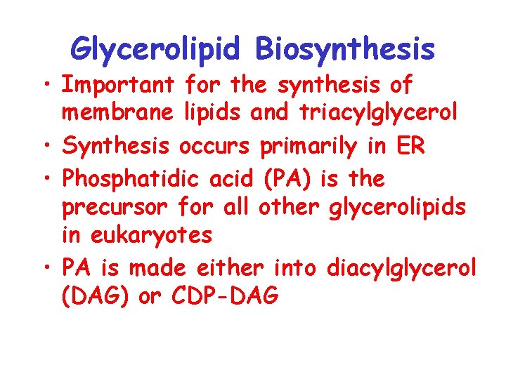 Glycerolipid Biosynthesis • Important for the synthesis of membrane lipids and triacylglycerol • Synthesis