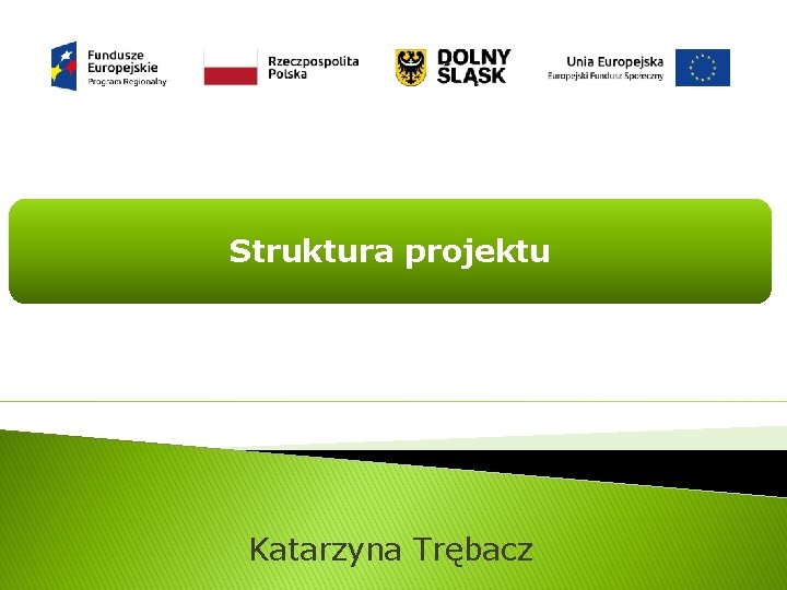 Struktura projektu Katarzyna Trębacz 