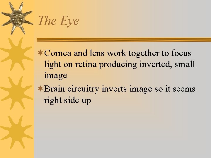 The Eye ¬Cornea and lens work together to focus light on retina producing inverted,