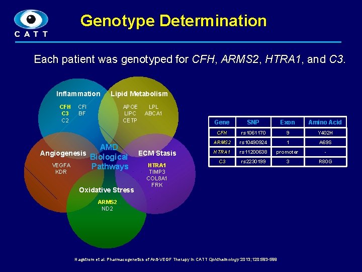 Genotype Determination Each patient was genotyped for CFH, ARMS 2, HTRA 1, and C