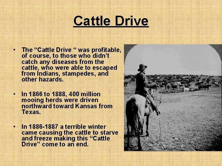 Cattle Drive • The “Cattle Drive “ was profitable, of course, to those who