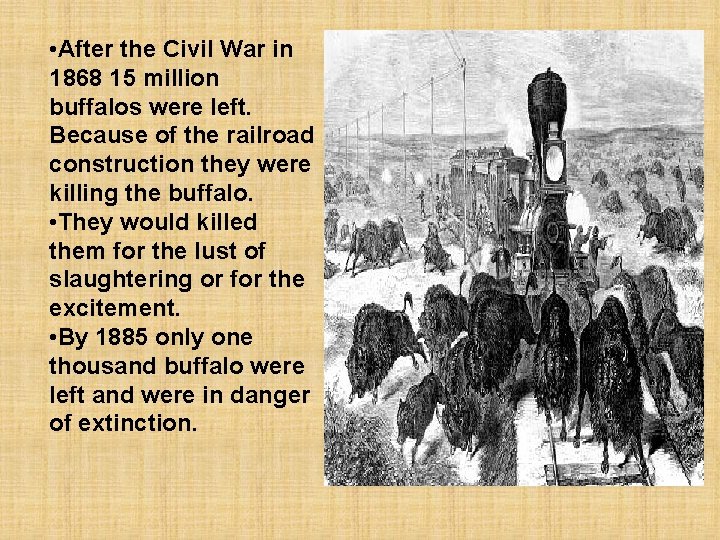  • After the Civil War in 1868 15 million buffalos were left. Because