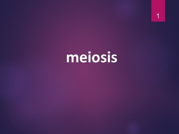 1 meiosis 