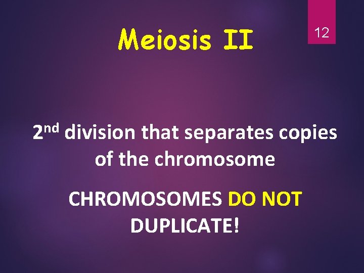Meiosis II 12 2 nd division that separates copies of the chromosome CHROMOSOMES DO