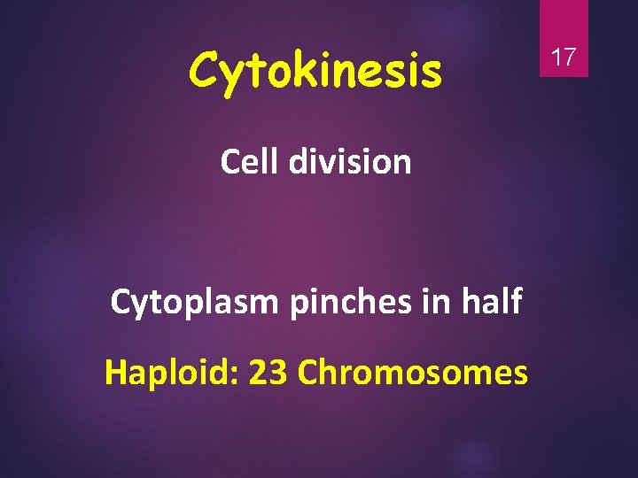 Cytokinesis Cell division Cytoplasm pinches in half Haploid: 23 Chromosomes 17 