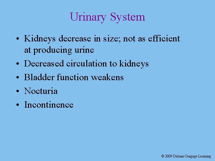 Urinary System • Kidneys decrease in size; not as efficient at producing urine •