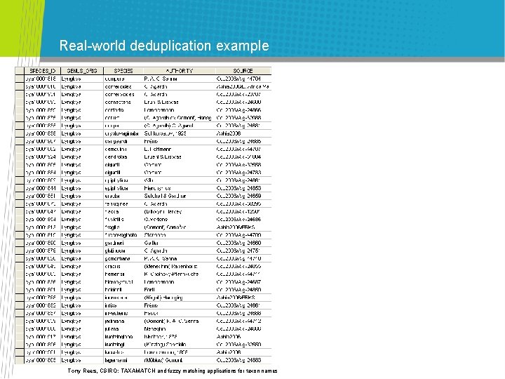 Real-world deduplication example Tony Rees, CSIRO: TAXAMATCH and fuzzy matching applications for taxon names