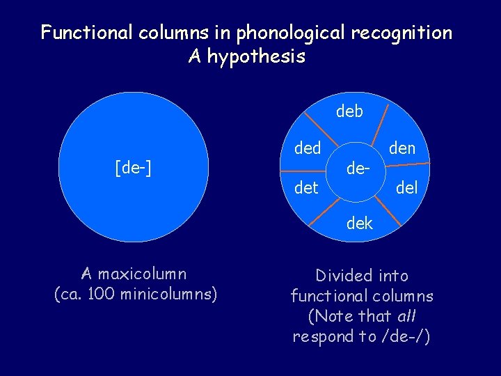 Functional columns in phonological recognition A hypothesis deb [de-] ded det de- den del