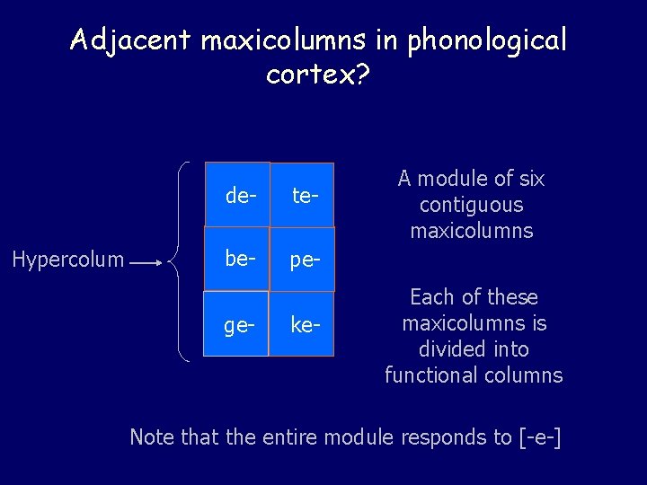 Adjacent maxicolumns in phonological cortex? Hypercolum de- te- be- pe- ge- ke- A module Adjacent maxicolumns in phonological cortex? Hypercolum de- te- be- pe- ge- ke- A module