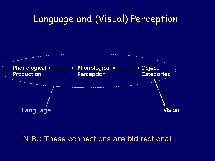 Language and (Visual) Perception Phonological Production Language Phonological Perception Object Categories Vision N. B. Language and (Visual) Perception Phonological Production Language Phonological Perception Object Categories Vision N. B.
